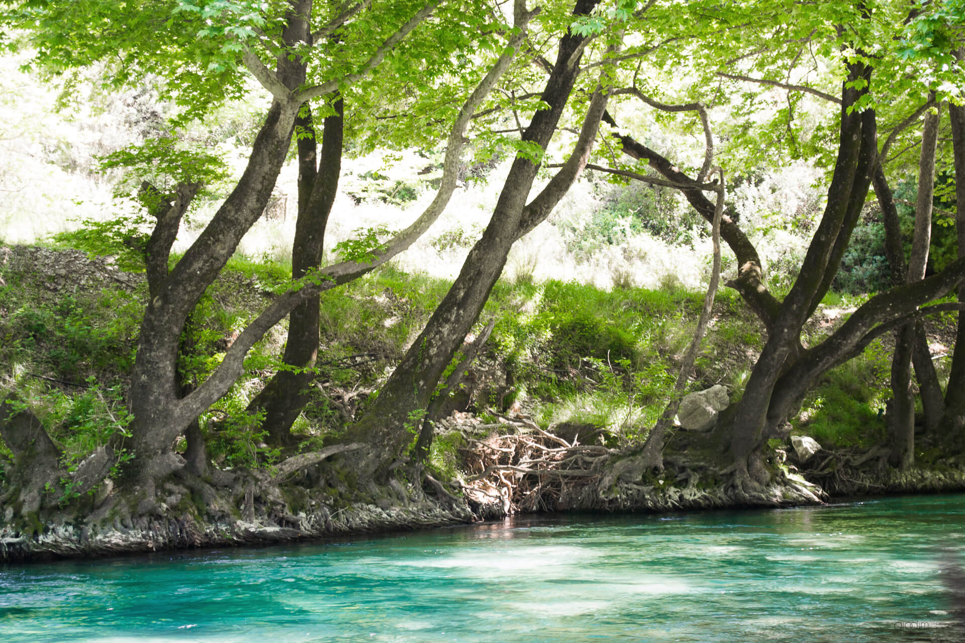 Acheron Springs